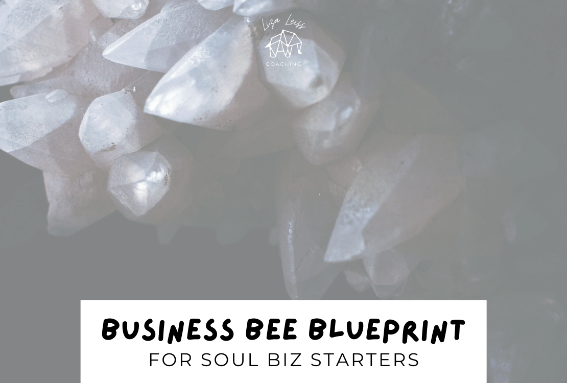 Biz Bee Blueprint (Recordings)